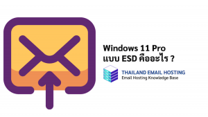 ภาพประกอบหัวข้อ Windows 11 Pro แบบ ESD คืออะไร ? (What is Windows 11 Pro ESD?)